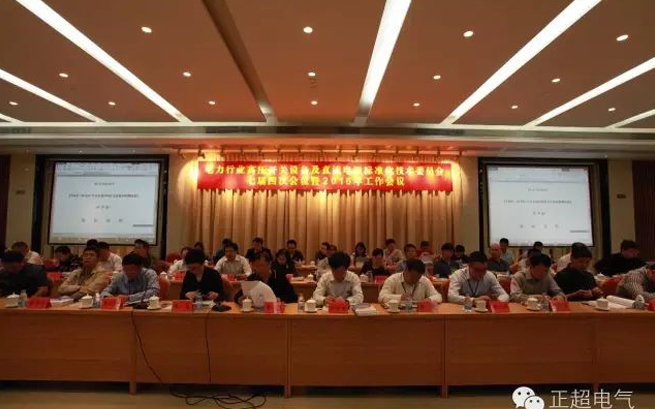 電(diàn)力行业高压开关设备及直流電(diàn)源标准化技(jì )术委员会七届四次会议暨2016年工(gōng)作(zuò)会议在汕头召开